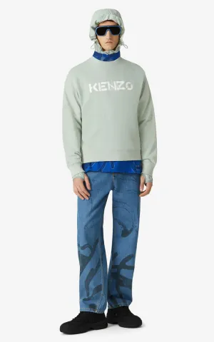 Kenzo (grey/green logo sweatshirt)